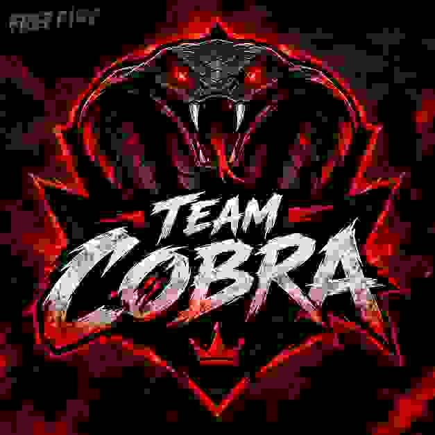 Team cobra